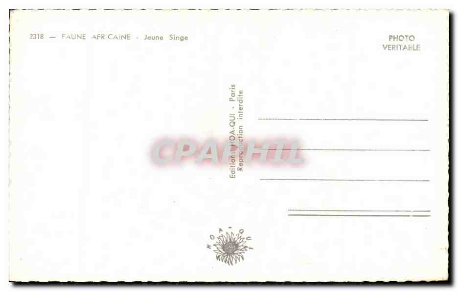 Jeune Singe — Faune Africaine — Édition HOA-QUI - Paris n°2318 — Back