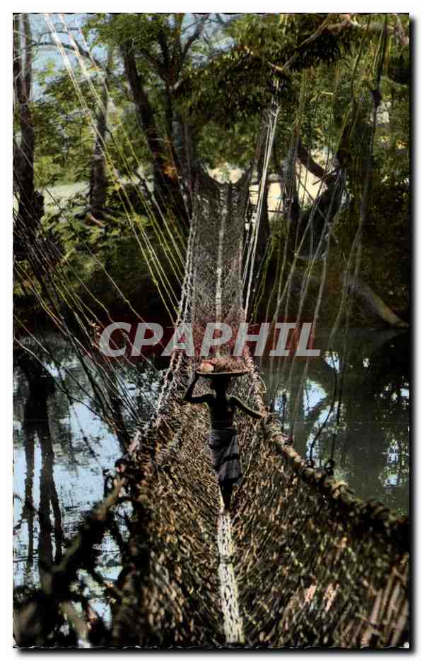 Afrique - Africa - Afrique Noire - Pont de Lianes ( Guinee ) - CPA