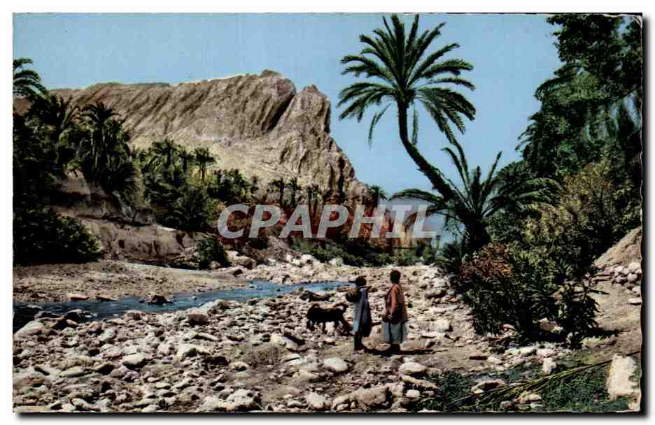 Oued et Oasis — Un joli coin de l'Oued et de l'Oasis — Collection Artistique 'L'Afrique' n°8, Combier (S.-et-L.)