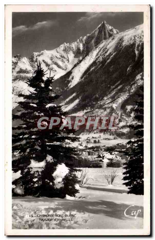 Chamonix - Paysage d Hiver - Mont Blanc - CPA 