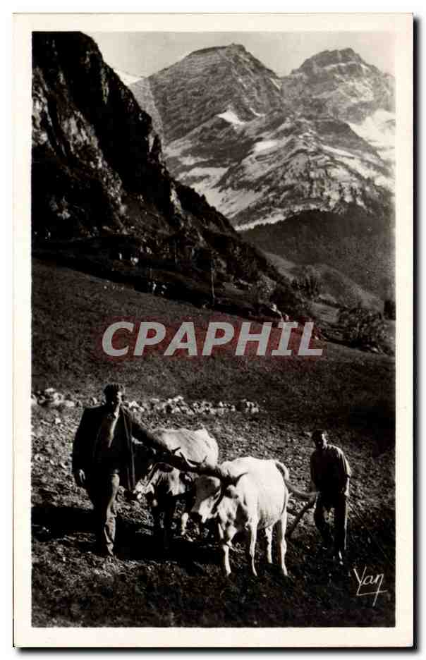 Mountain Plowing — The Pyrenees — Edition Photo Quinault - Lourdes