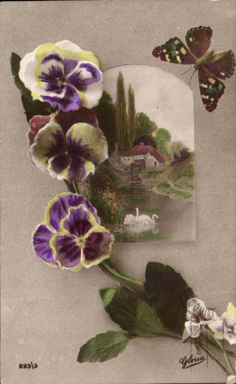 Fleurs de pensée et papillon — Gloria, n° 223/3