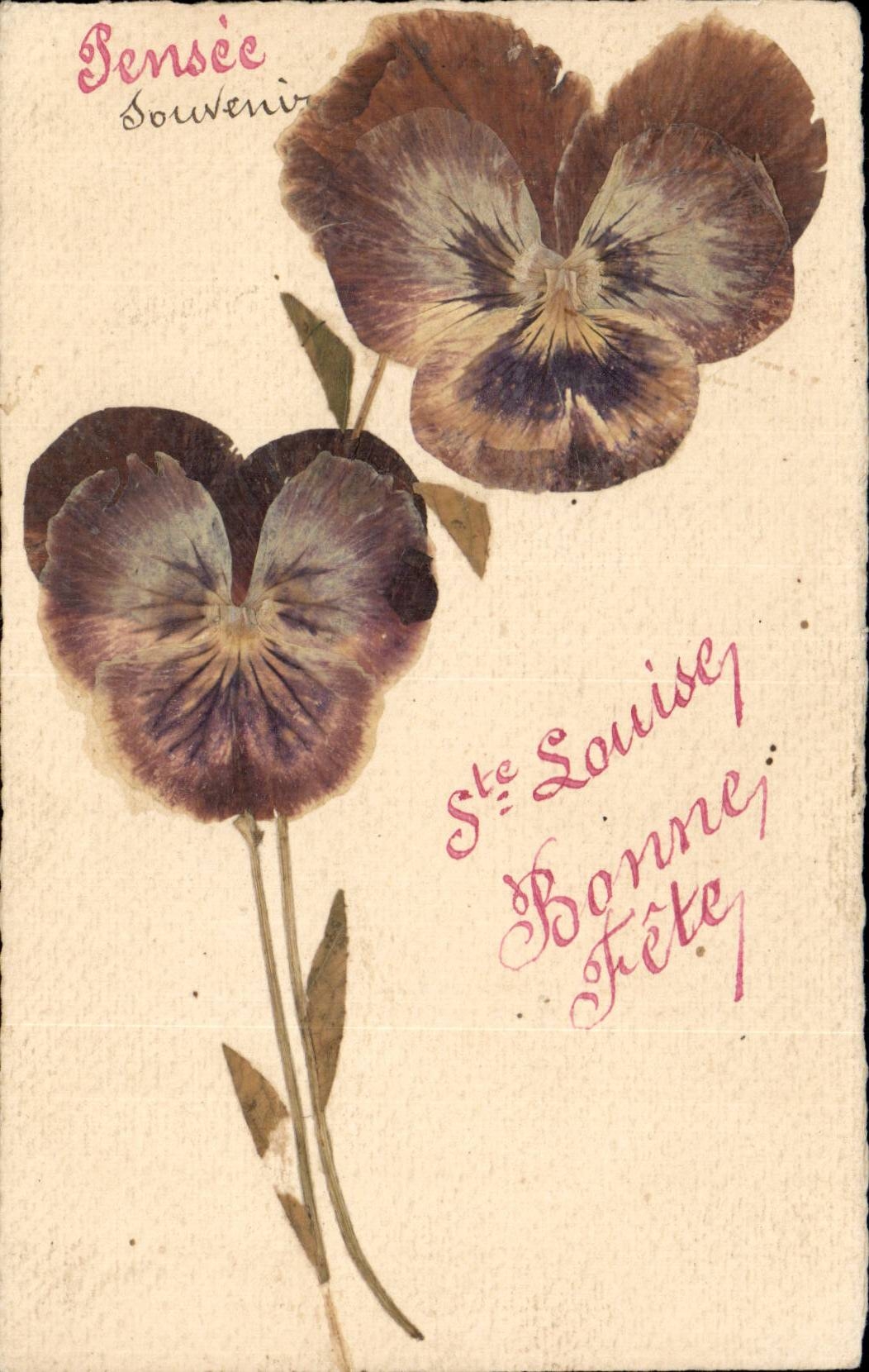 CPA Fantaisie Fleurs Pensee Fleurs sechees