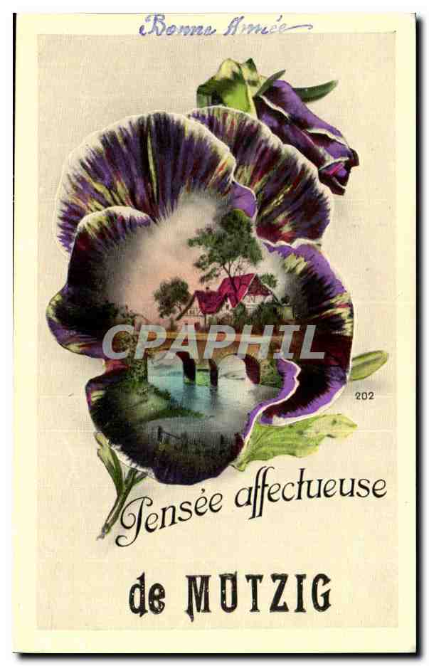 Poisson violet — paysage miniature — de MUTZIG, n°202 - Anverso