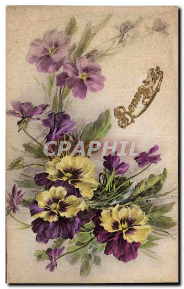 Fleurs Pensee - Pansy - Bonne Fete - CPA 