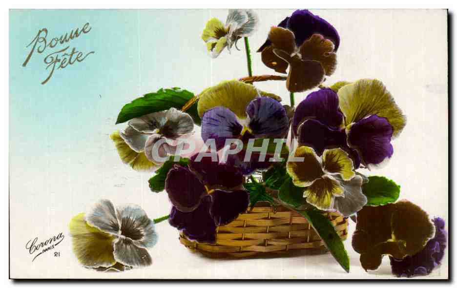 Fleurs Pensee - Pansy - Bonne Fete - CPA 