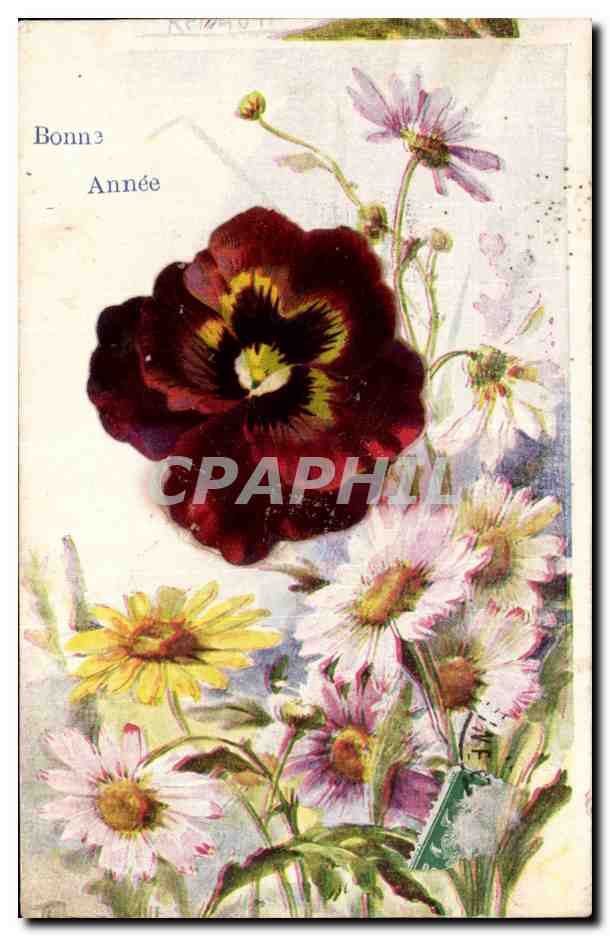 Fleurs Pensee - Pansy - Bonne Annee - CPA 