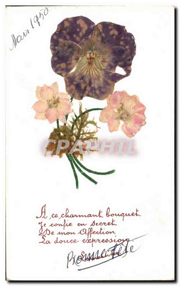 Bouquet de fleurs séchées — Promesse Fête — sans éditeur ni numéro visible