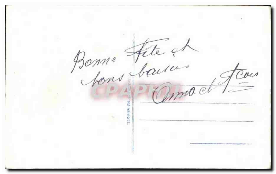 Bouquet de fleurs séchées — Promesse Fête — sans éditeur ni numéro visible — Reverso