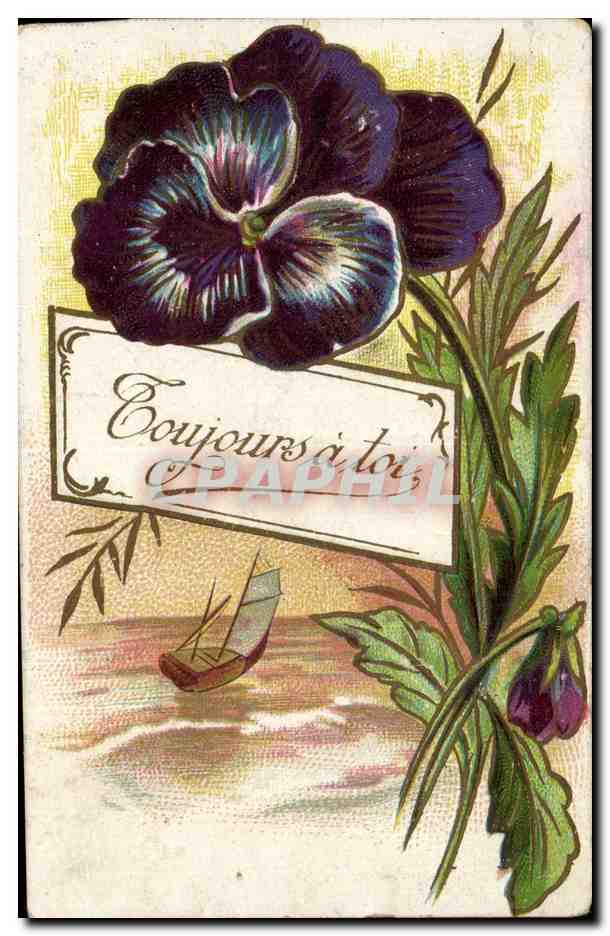 Fleurs Pensee - Pansy - Toujours a Toi - CPA 