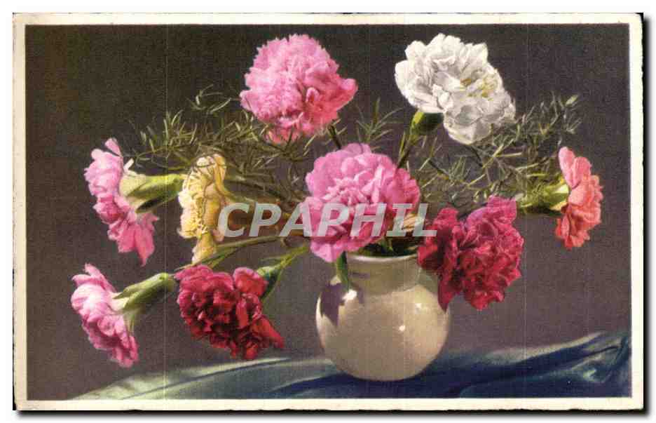 Fleurs Carnations - CPA 