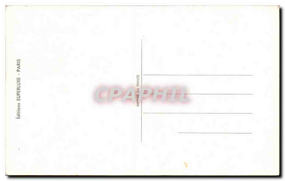 Fleurs Carnations - CPA  — Verso