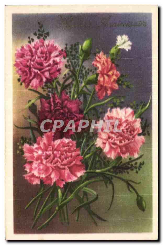 Fleurs Carnations - CPA 