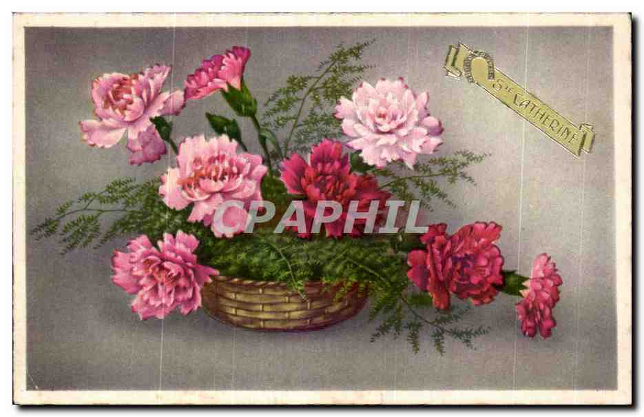 Fleurs Ste Catherine - CPA 