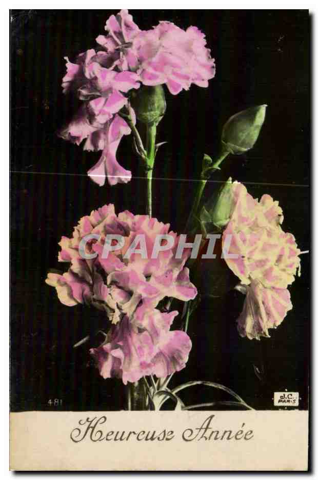 Fleurs Heureux Annee - CPA