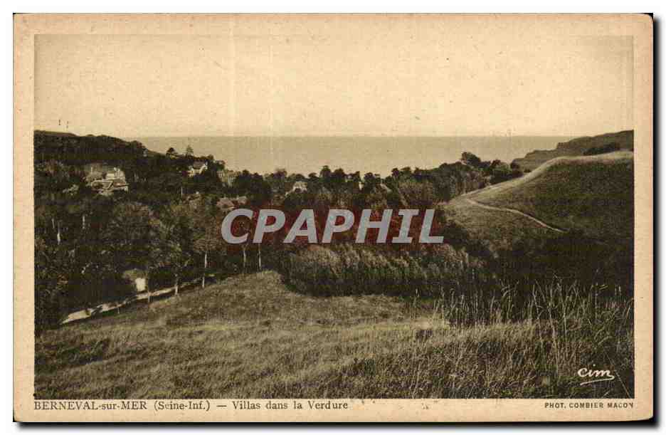CPA Berneval sur Mer Villas dans la verdure 