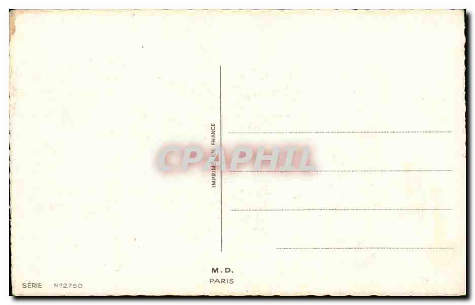 Fleurs Oeillet - Carnation - Bonne Fete - CPA  — Verso