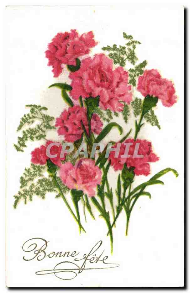 Fleurs Oeillet - Carnation - Bonne Fete - CPA 