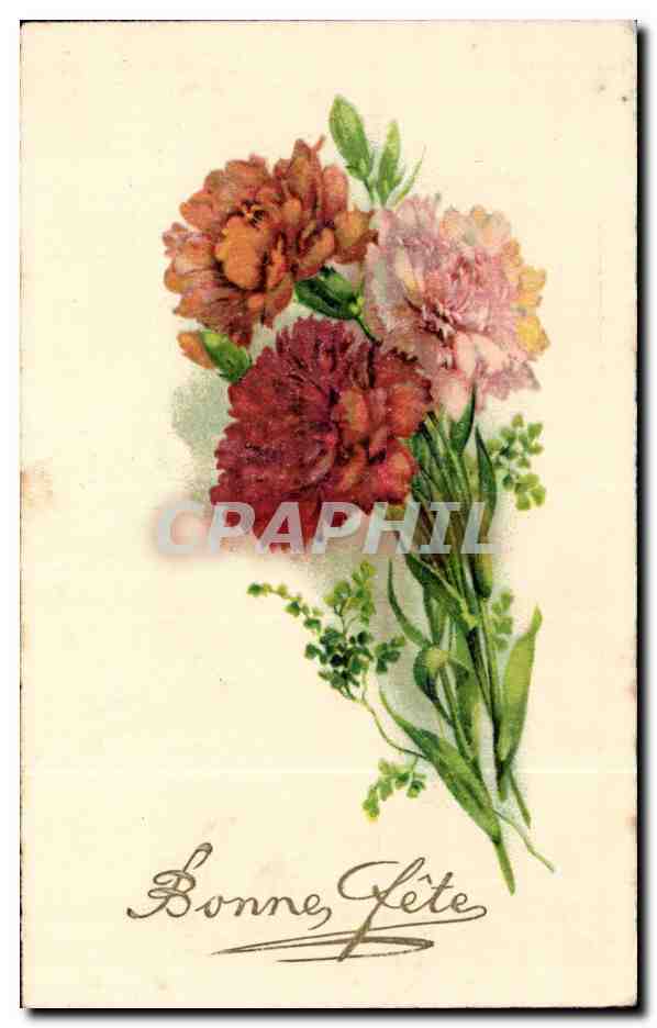 Fleurs Oeillet - Carnation - Bonne Fete - CPA 