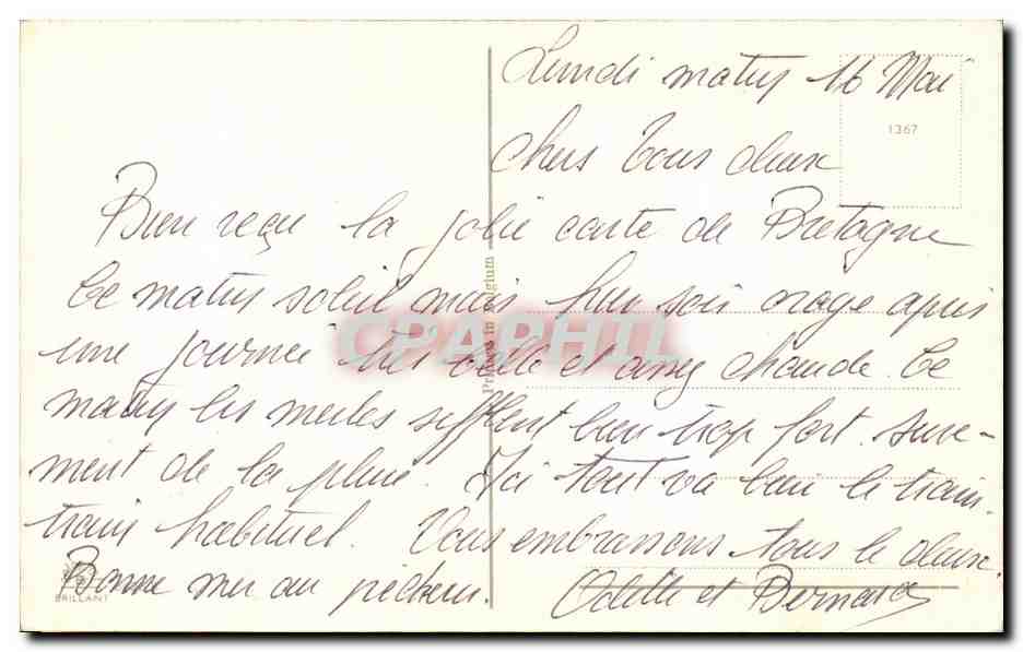 Fleurs Oeillet - Carnation - CPA  — Verso