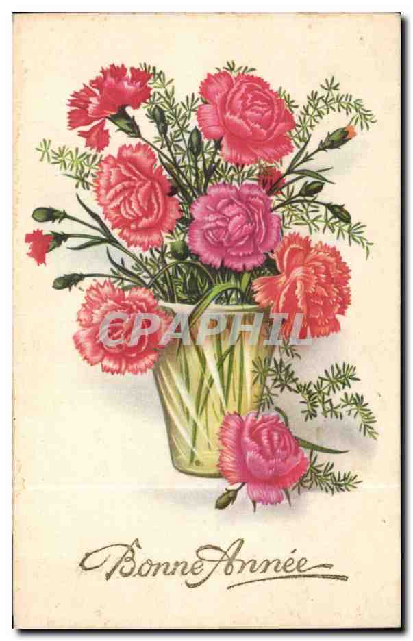 Fleurs Oeillet - Carnation - Bonne Annee - CPA 