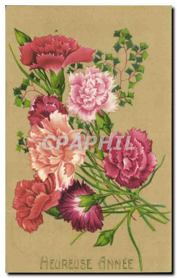 Fleurs Oeillet - Carnation - Heureuse Annee - CPA 