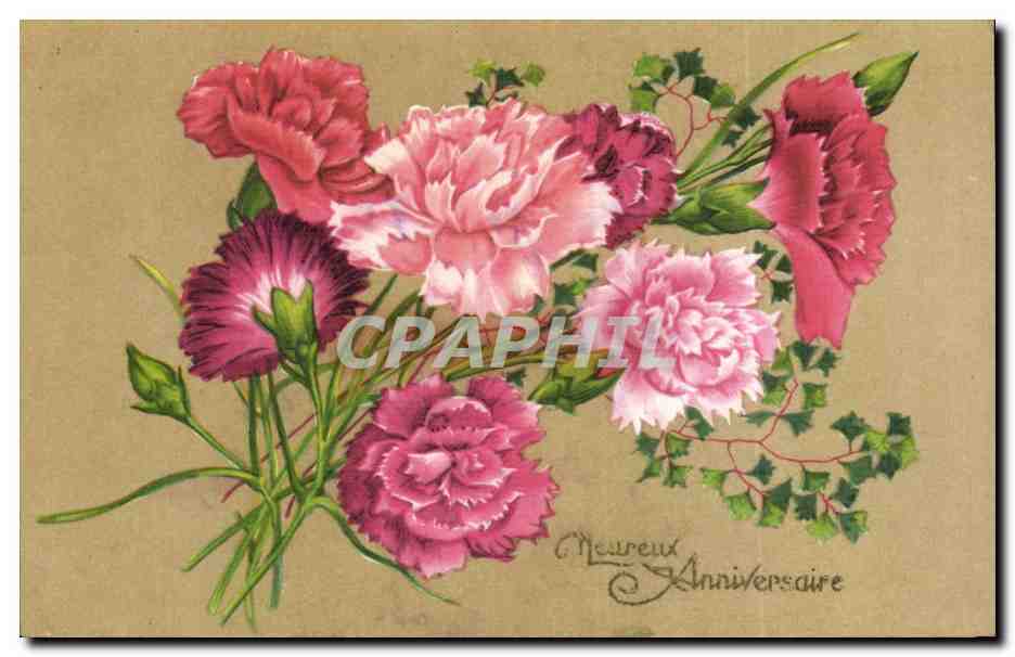 Fleurs Oeillet - Carnation - Heureux Anniversaire - CPA 