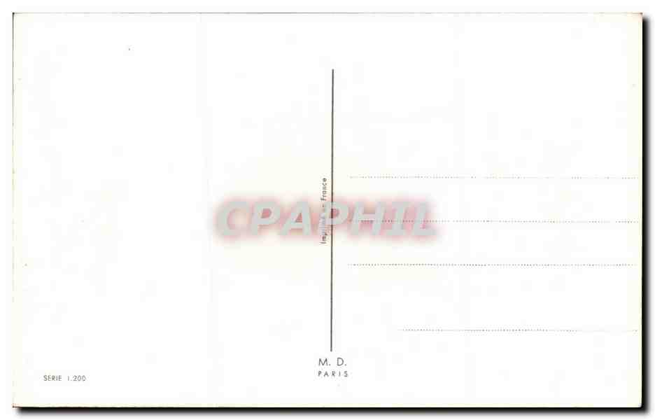 Fleurs Oeillet - Carnation - CPA  — Verso