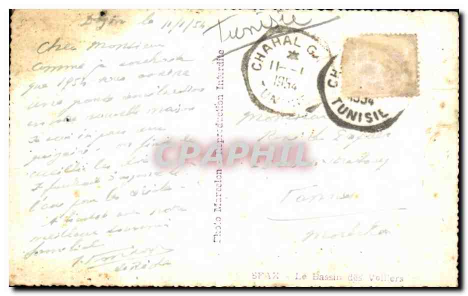 CPSM Tunisie Sfax Le bassin des voiliers — Rückseite