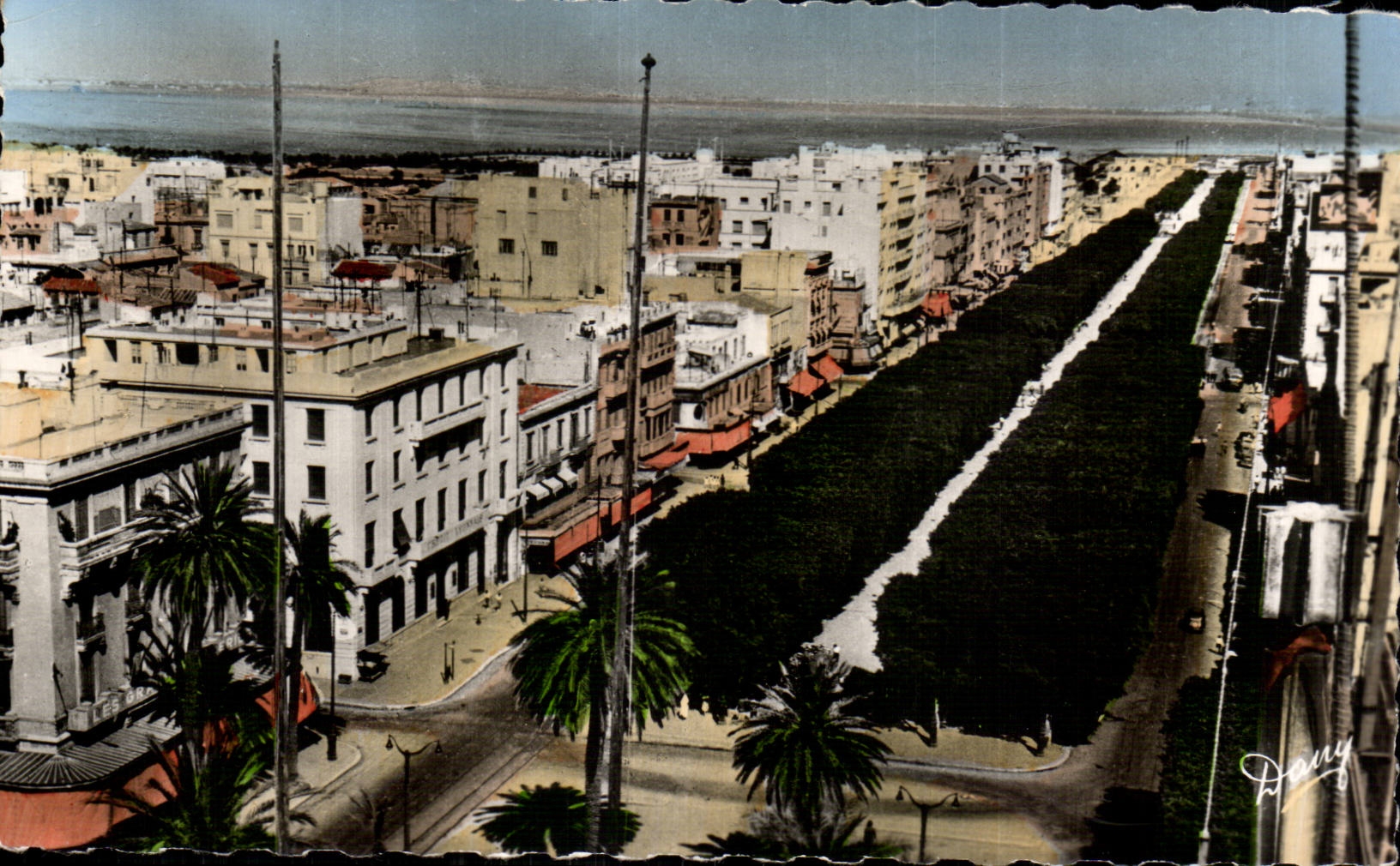 CPA Tunisie Tunis Perspective sur l avenue Jules Ferry 