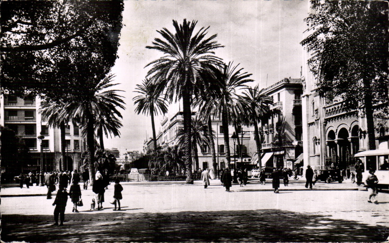 CPA Tunisie Tunis Place de la Residence 