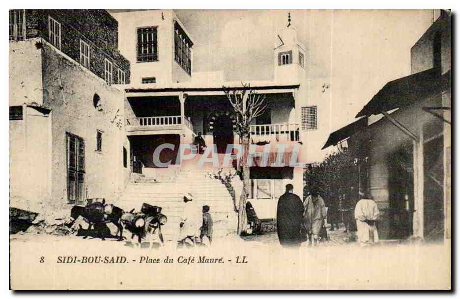 CPA Tunisie Sidi Bou Said Place du cafe Maure 