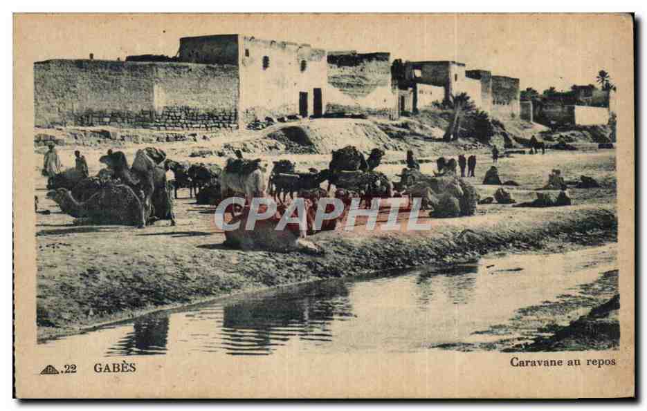 CPA Tunisie Gabes Caravane au repos 