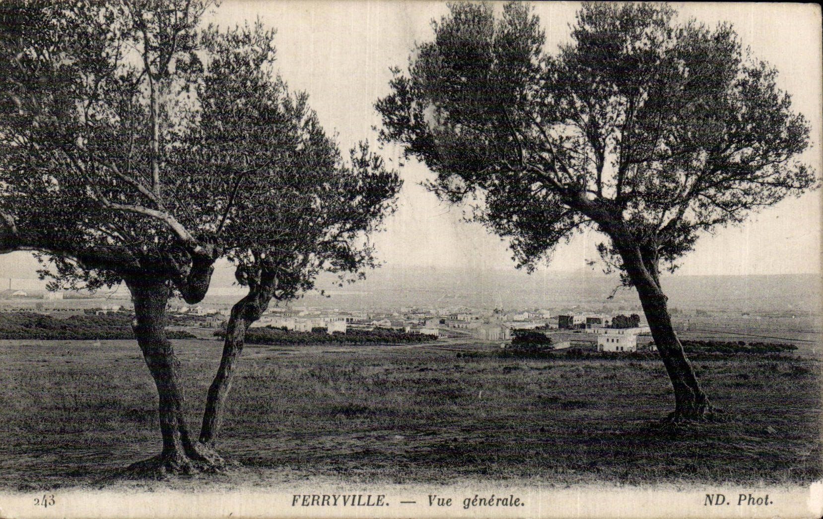 CPA Tunisie Ferryville Vue generale