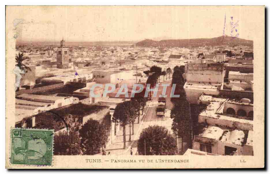 CPA Tunisie Tunis Panorama vu de l intendance