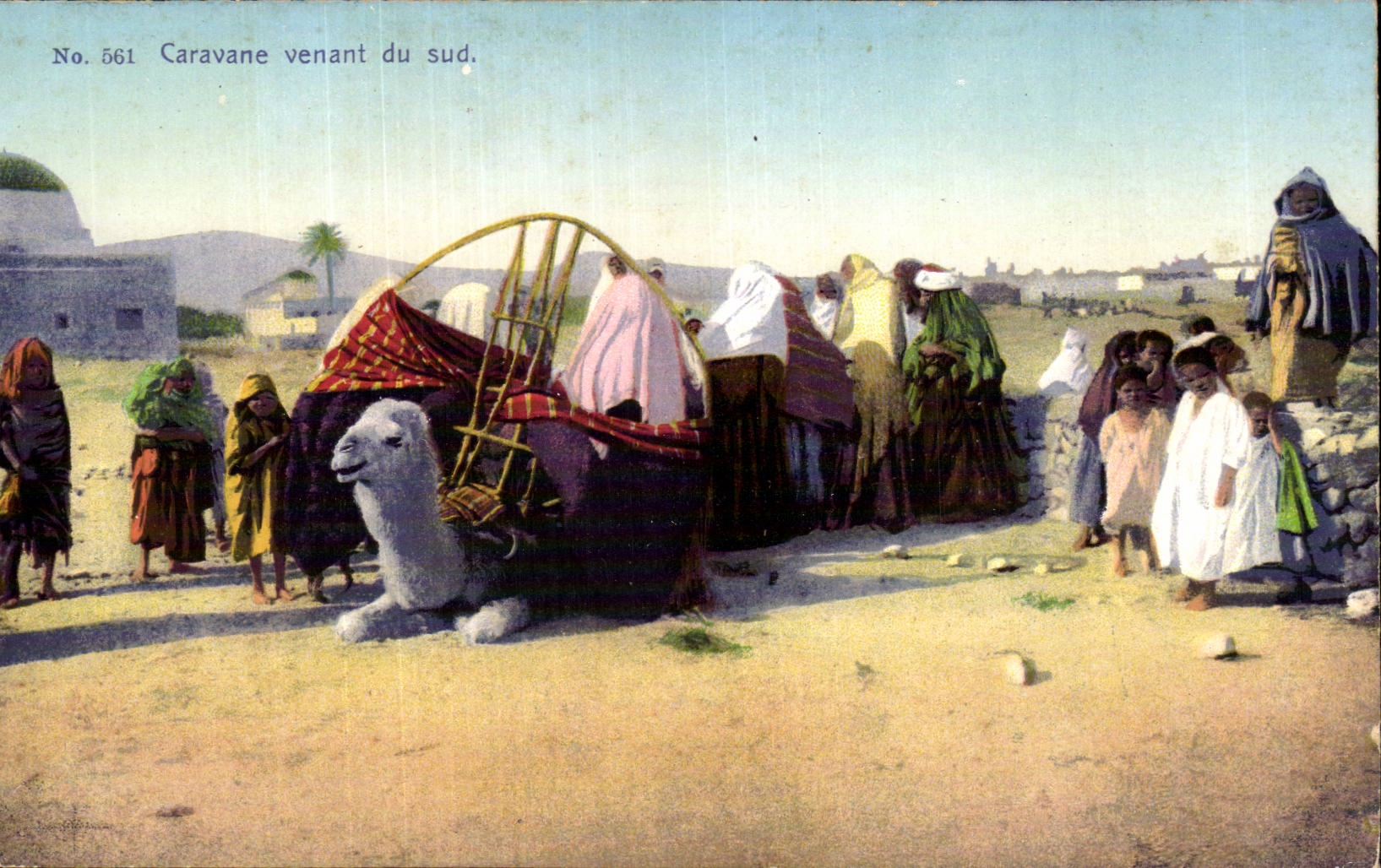 CPA Tunisie Caravane venant du Sud Chameau Camel 