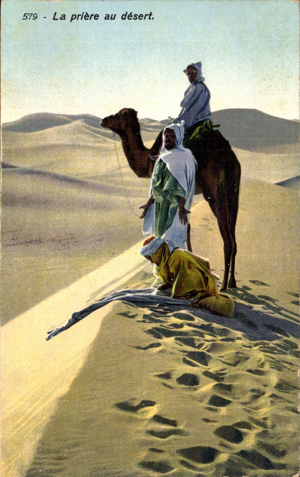 CPA Tunisie La priere du desert Chameau Camel 
