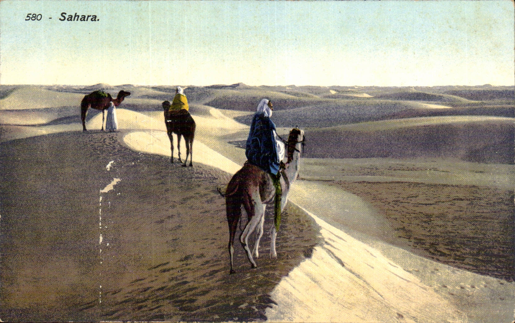 CPA Tunisie Sahara desert Chameau Camel 