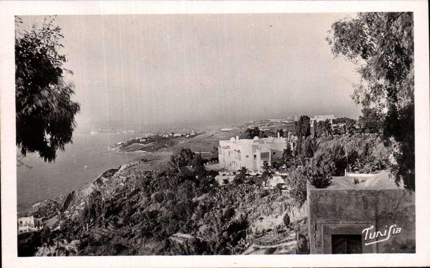 CPA Tunisie Sidi Bou Said une vue sur le golfe 1951