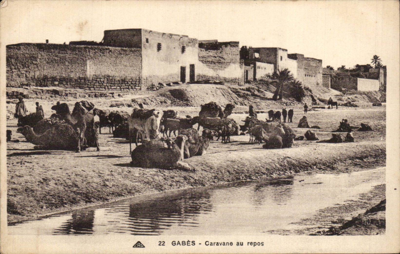CPA Tunisie Gabes Caravane au repos Chameau Camel