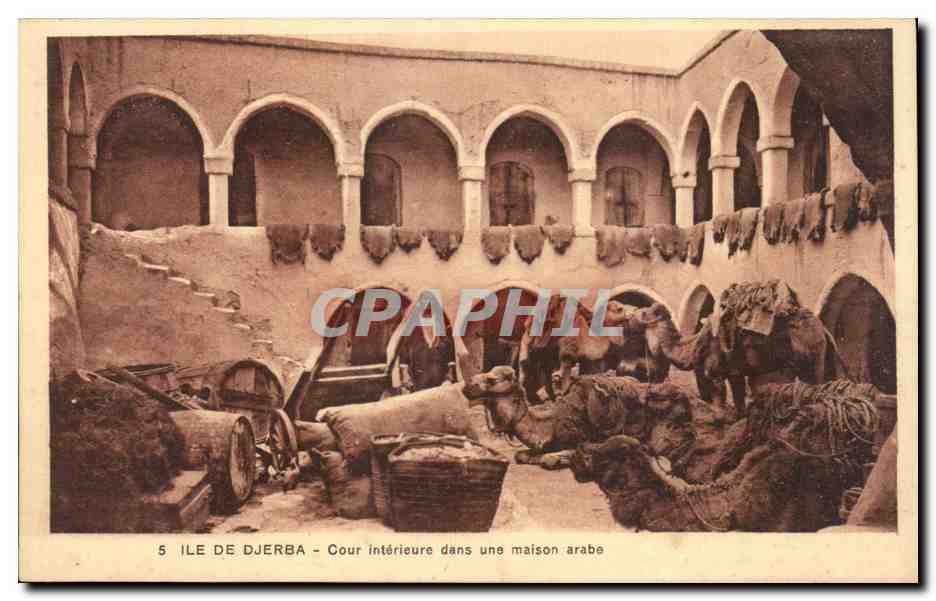 CPA Tunisie Ile de Djerba Cour interieure dans une maison arabe Chameau CAmel 