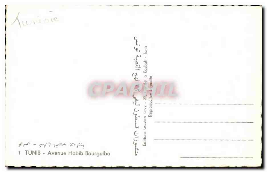 CPA Tunisie Tunis Avenue Habib Bourguiba  — Rückseite