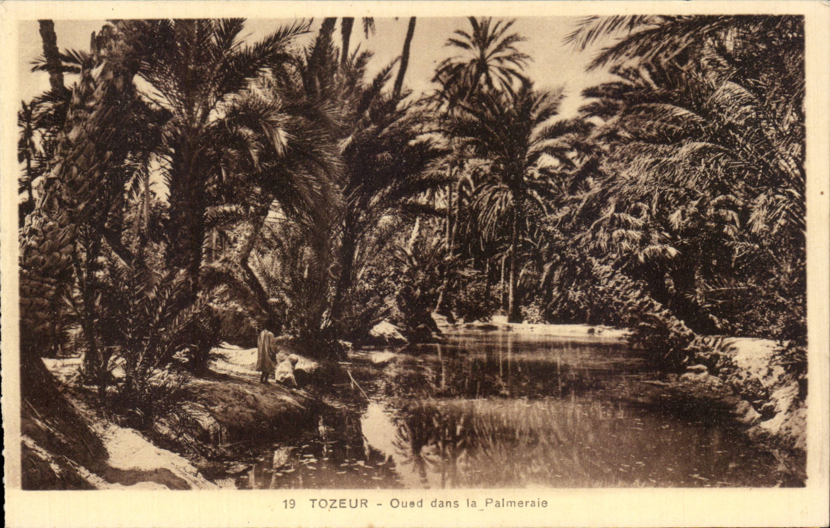 CPA Tunisie Tozeur Oued dans la palmeraie 
