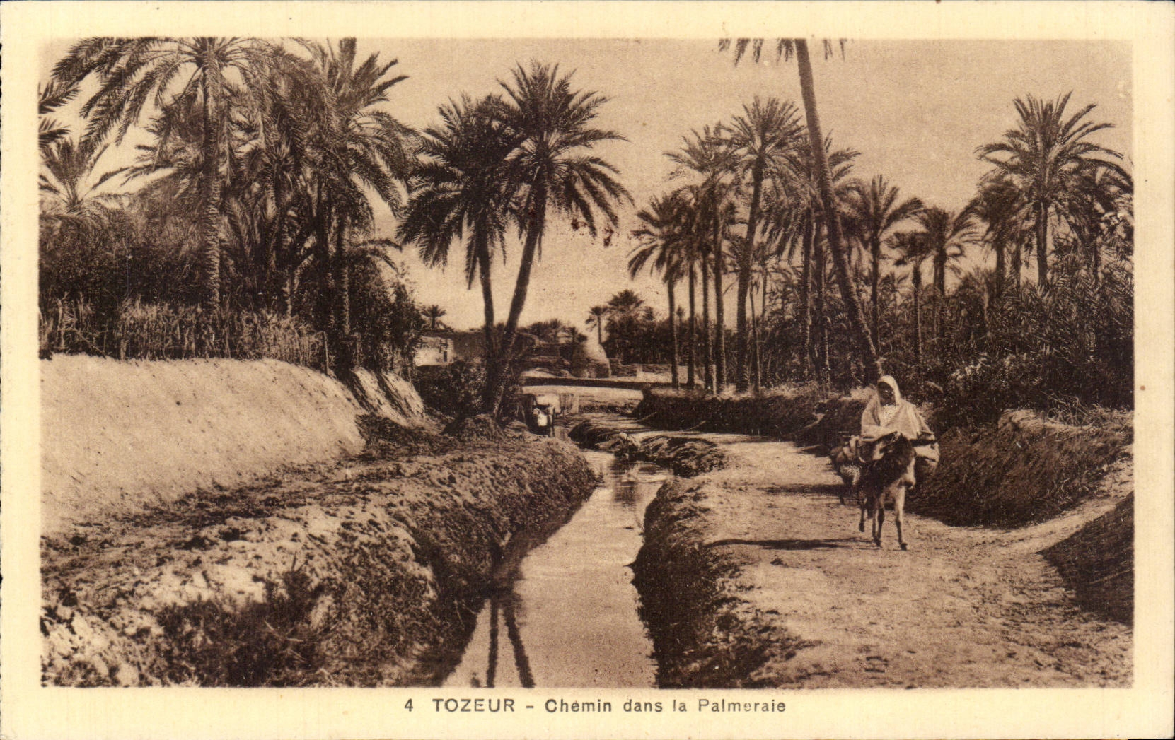 CPA Tunisie Tozeur Chemin dans la palmeraie