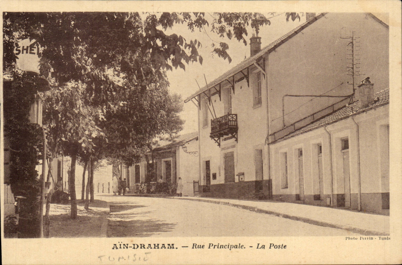 CPA Tunisie Ain Draham Rue principale La poste