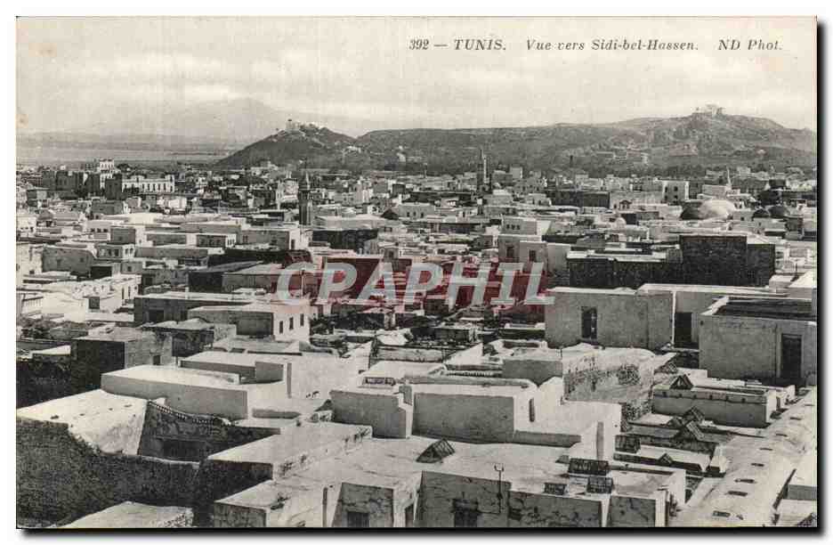 CPA Tunisie Tunis Vue vers Sidi bel Hussen 
