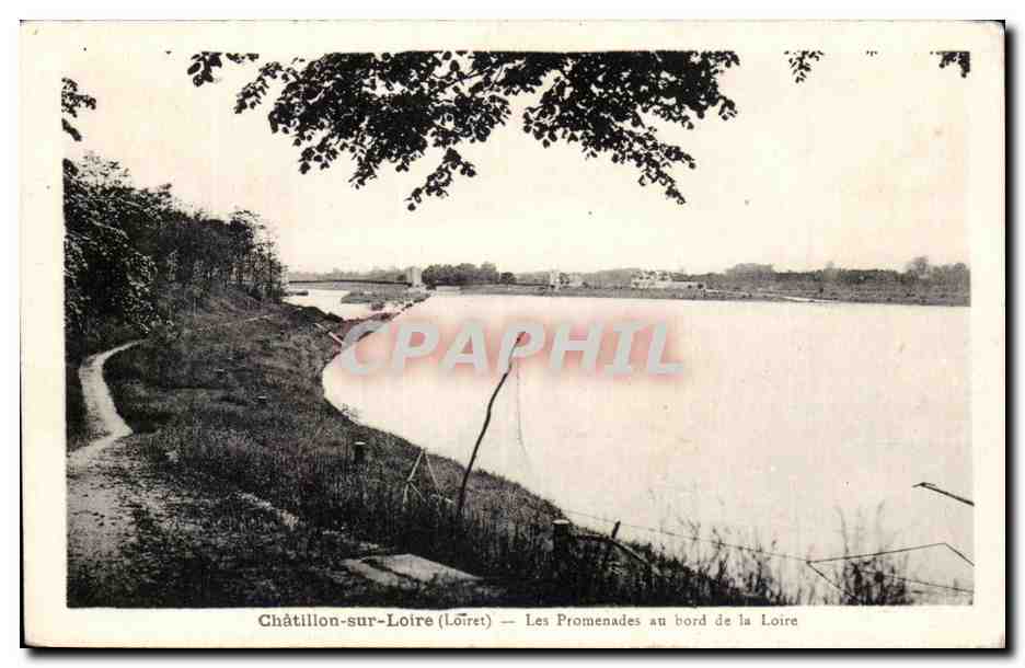 CPA Chatillon sur Loire Les promenades au bord de la Loire 