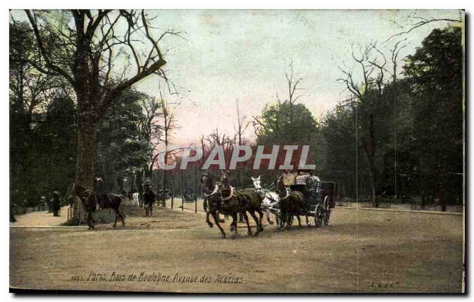 CPA Paris Bois de Boulogne Avenue des Acacias