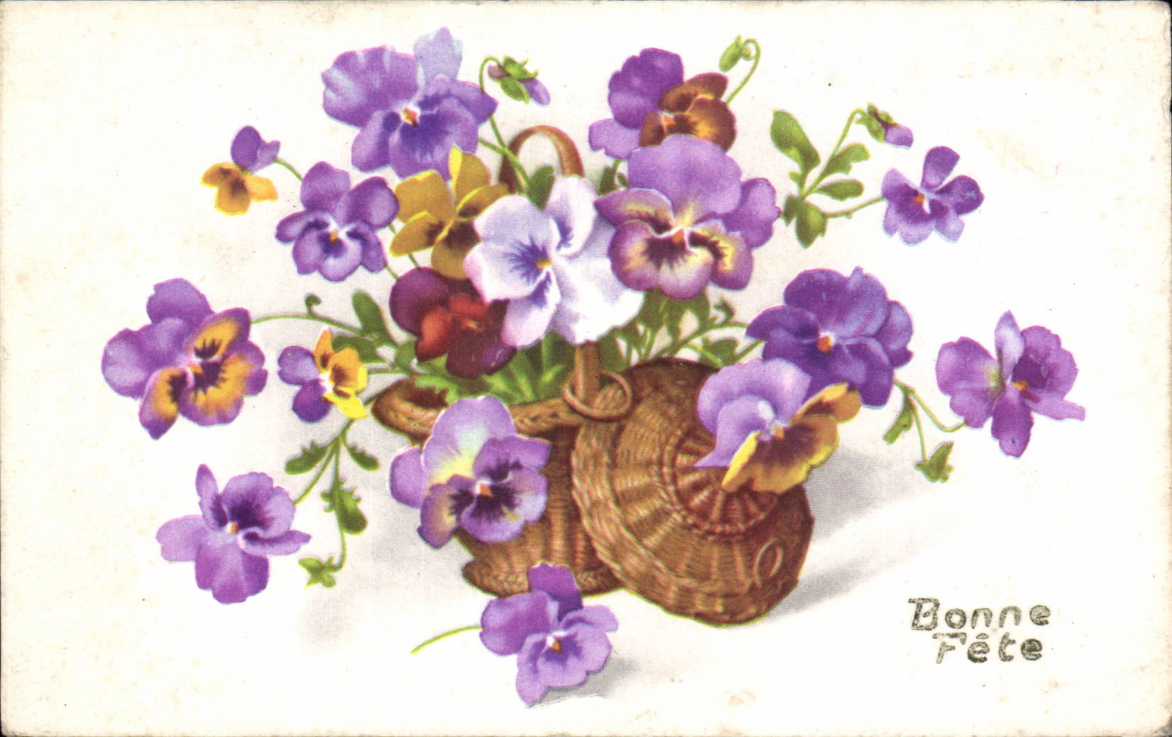 Fleurs Pensee - Pansy - Bonne Fete - CPA 