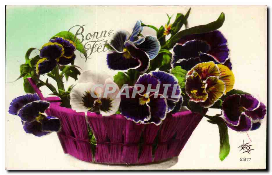 Fleurs Pensee - Pansy - Bonne Fete - CPA 